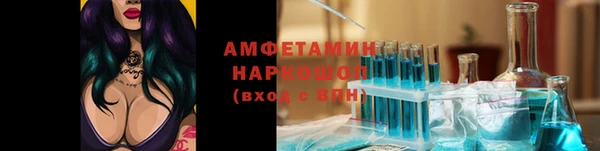 стаф Алексин