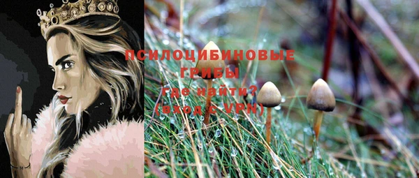 стаф Алексин
