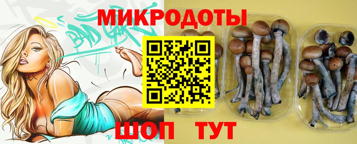 Галлюциногенные грибы GOLDEN TEACHER Дмитров