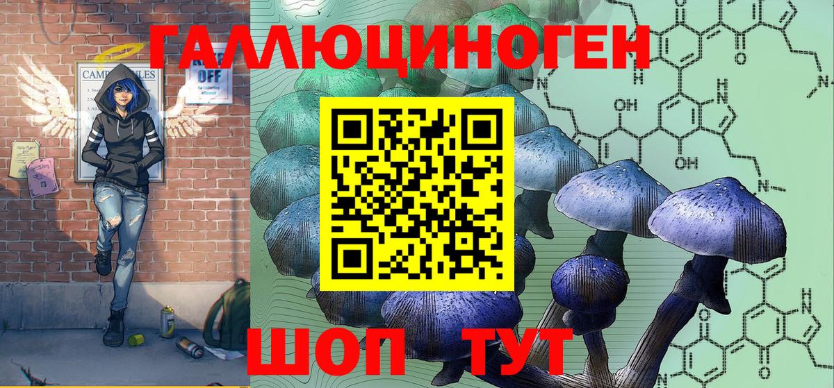 Дмитров  Галлюциногенные грибы Psilocybine cubensis  Вход с VPN 